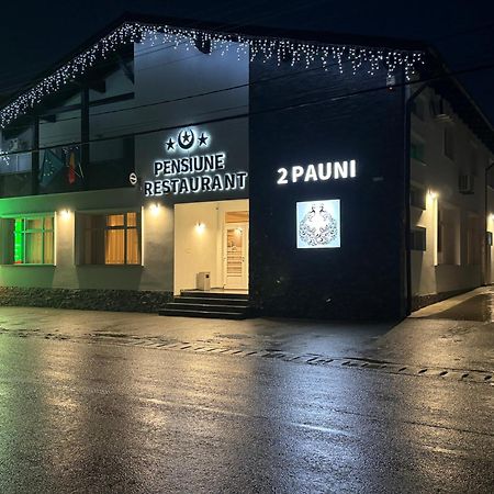 Pensiune Restaurant Pizzerie 2 Pauni Borşa Exterior foto